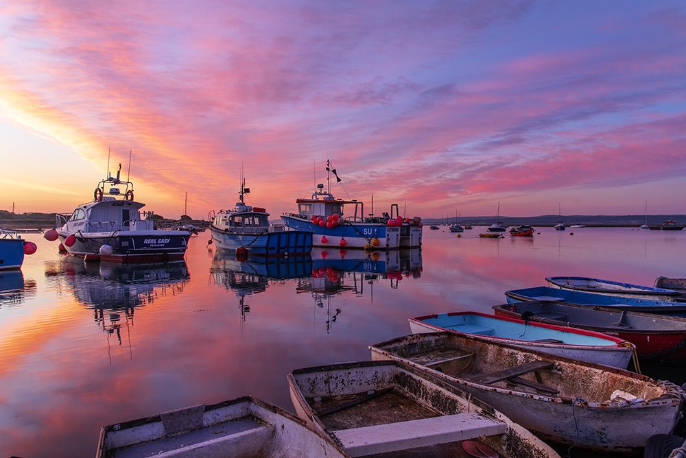 Plan your perfect trip to the New Forest