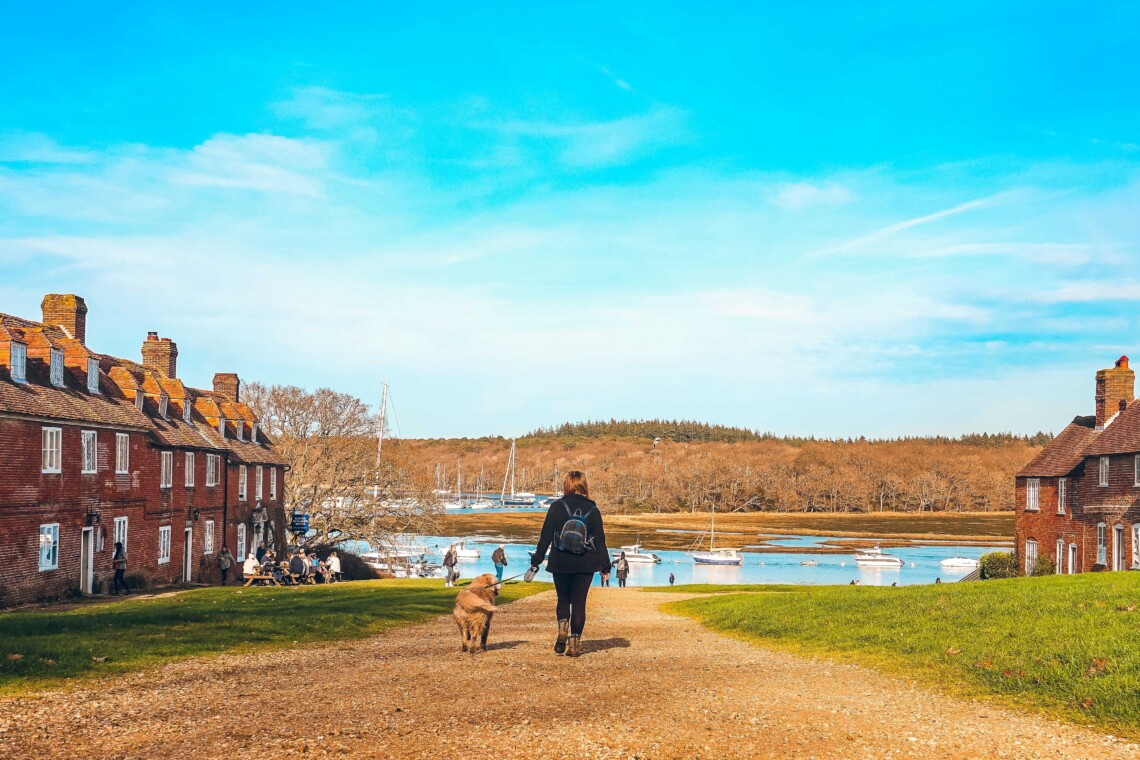 Dog walks