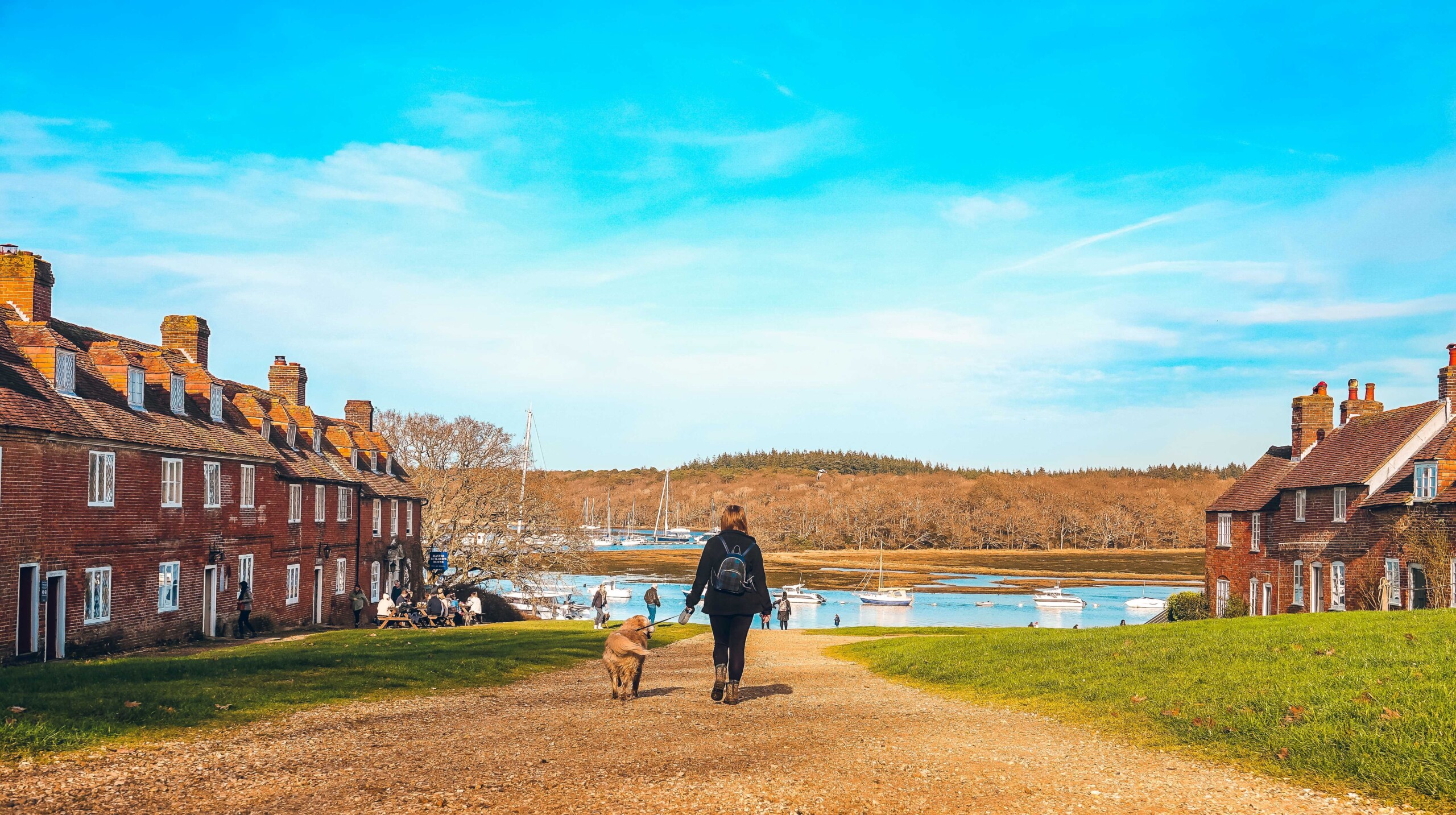 Dog walks