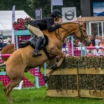 The New Forest and Hampshire County Show