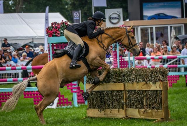 The New Forest and Hampshire County Show