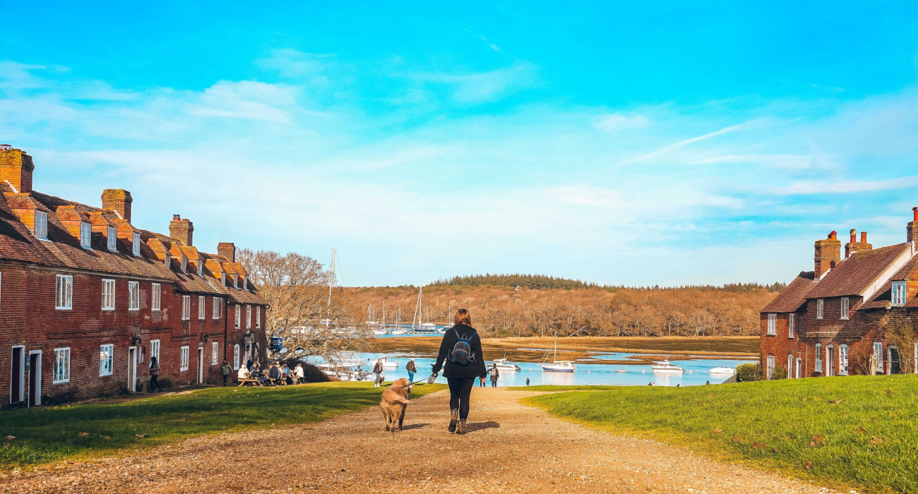 Dog walks
